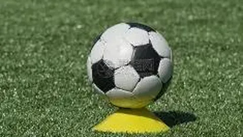 我国国家马术队组建完毕 即将亮相亚洲杯赛场