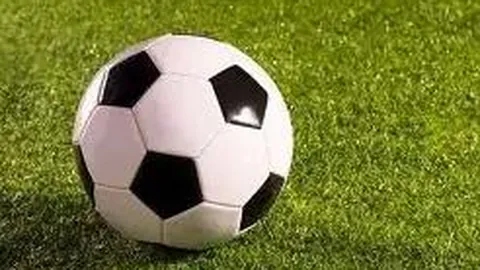 NBA常规赛：篮网不敌猛龙