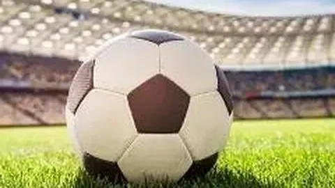 PT视讯官网 资讯 112828 ynf