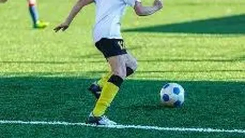 PT视讯官网 资讯 112724 lmw