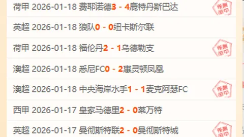 大乐透期号专家推荐：宇说德乙比勒菲尔德对波鸿质合分析