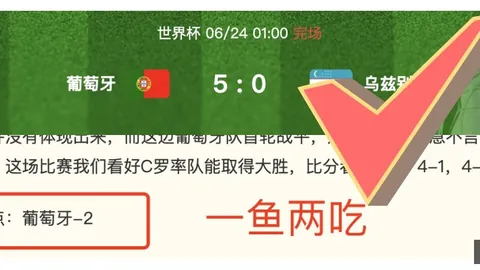 视讯官网，PT视讯App， 082004 0